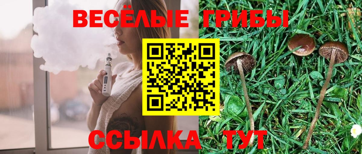Асино  Галлюциногенные грибы Psilocybine cubensis  Вход с VPN 