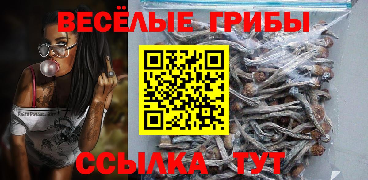Галлюциногенные грибы MAGIC MUSHROOMS Асино